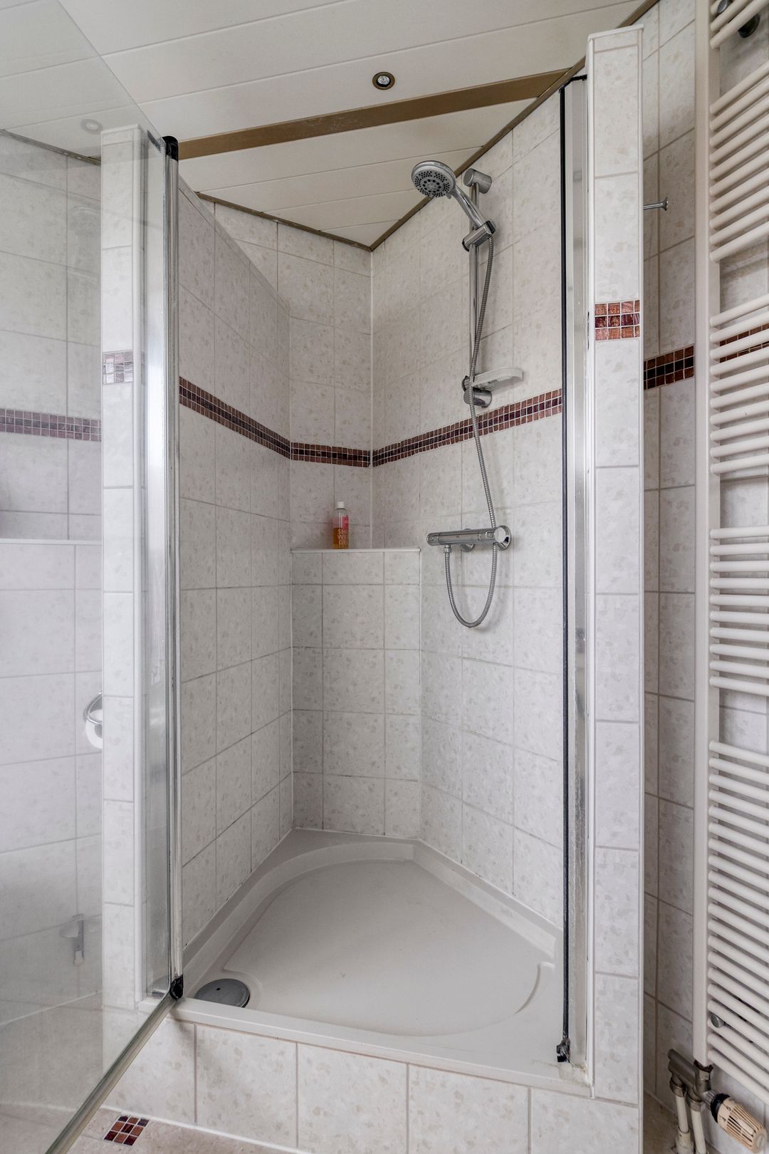 Photo 23 of Roerdomp 91