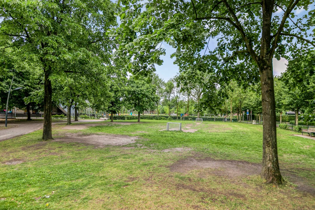 Photo 31 of Roerdomp 91