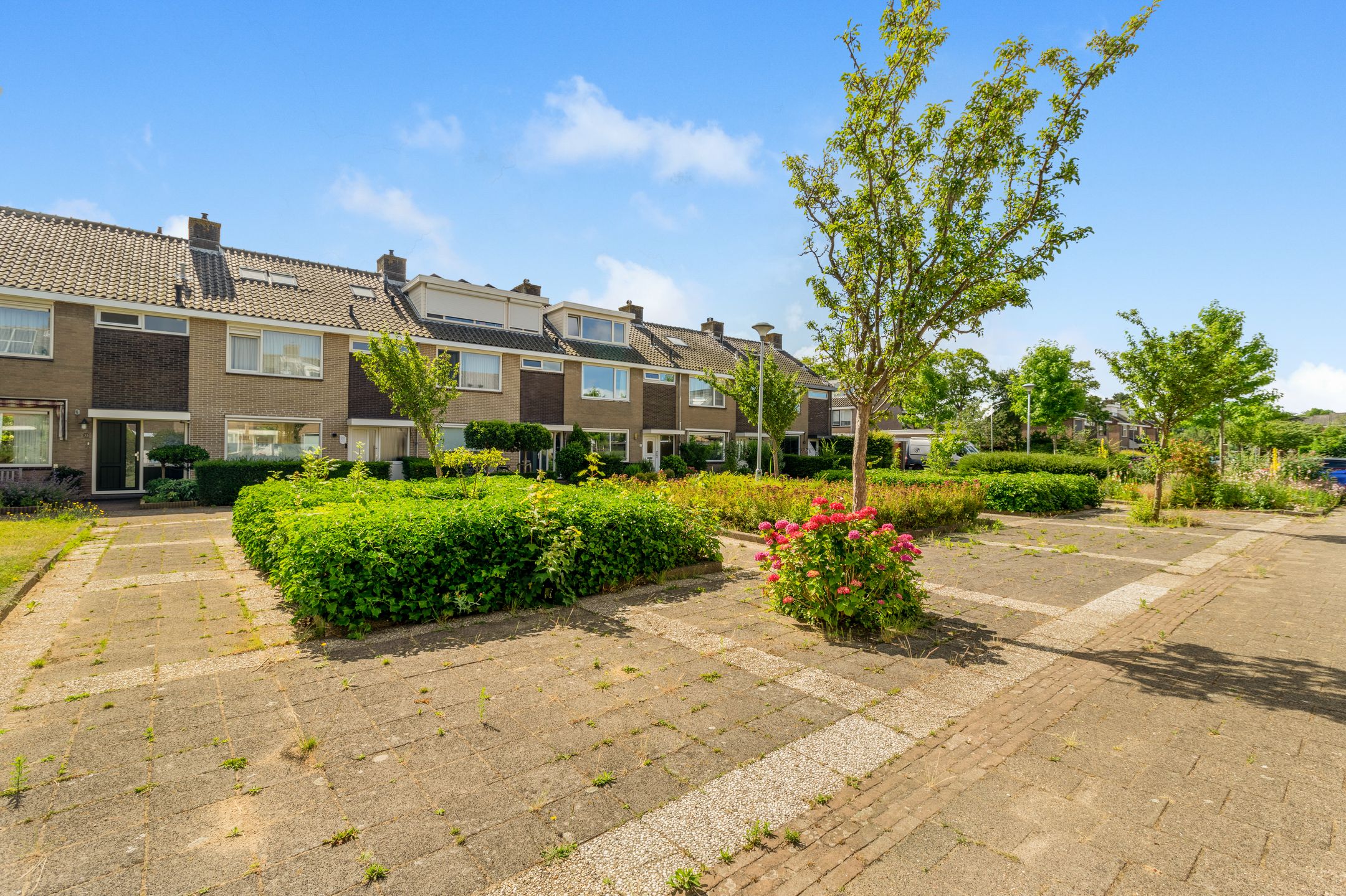 Foto 42 van Buwitsacker 21