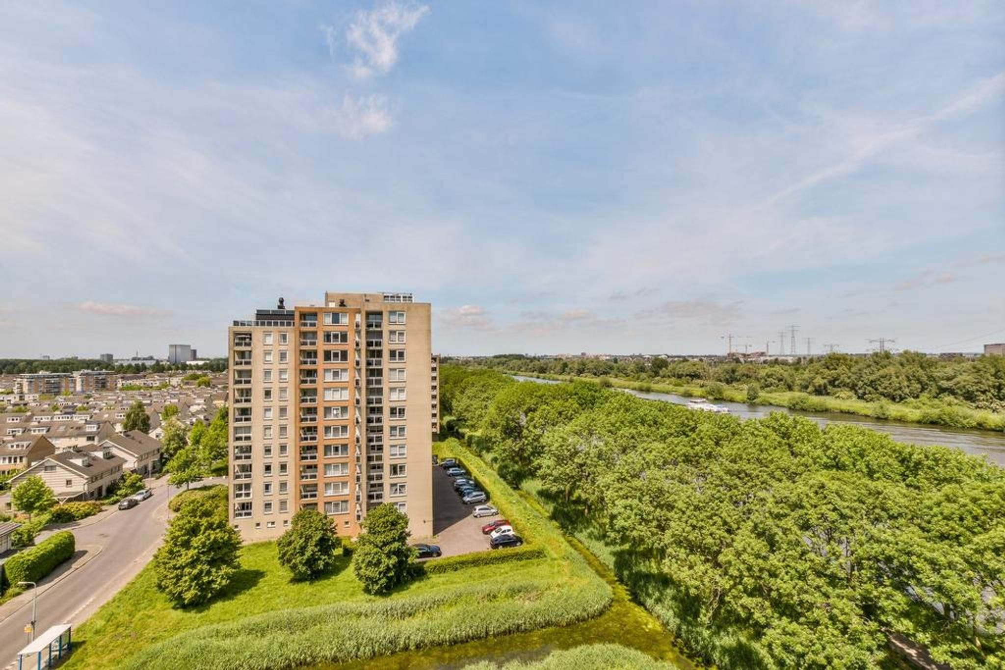 Foto 6 van Hermelijnvlinder 89