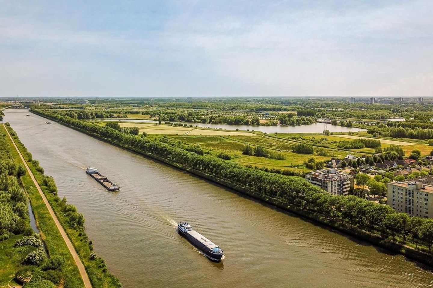 Foto 20 van Hermelijnvlinder 89