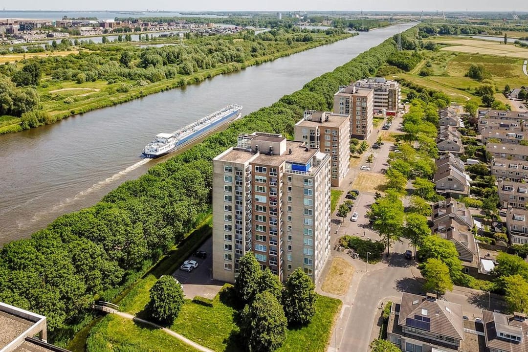 Foto 22 van Hermelijnvlinder 89