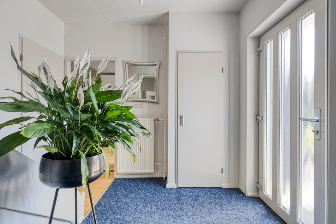 Foto 13 van Westgatstraat 8