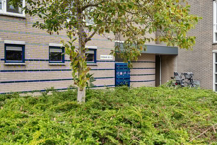 Photo 5 of Evenaar 89