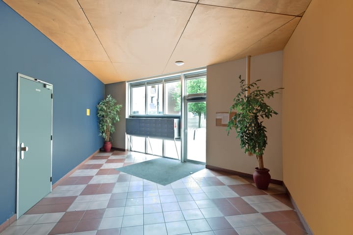 Foto 10 van Regenboog 31