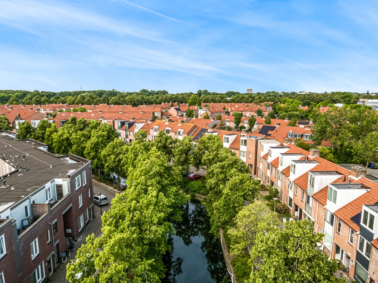 Foto 40 van Ekster 90