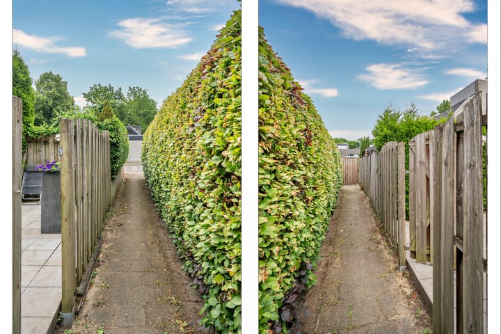 Foto 55 van Senecalaan 4