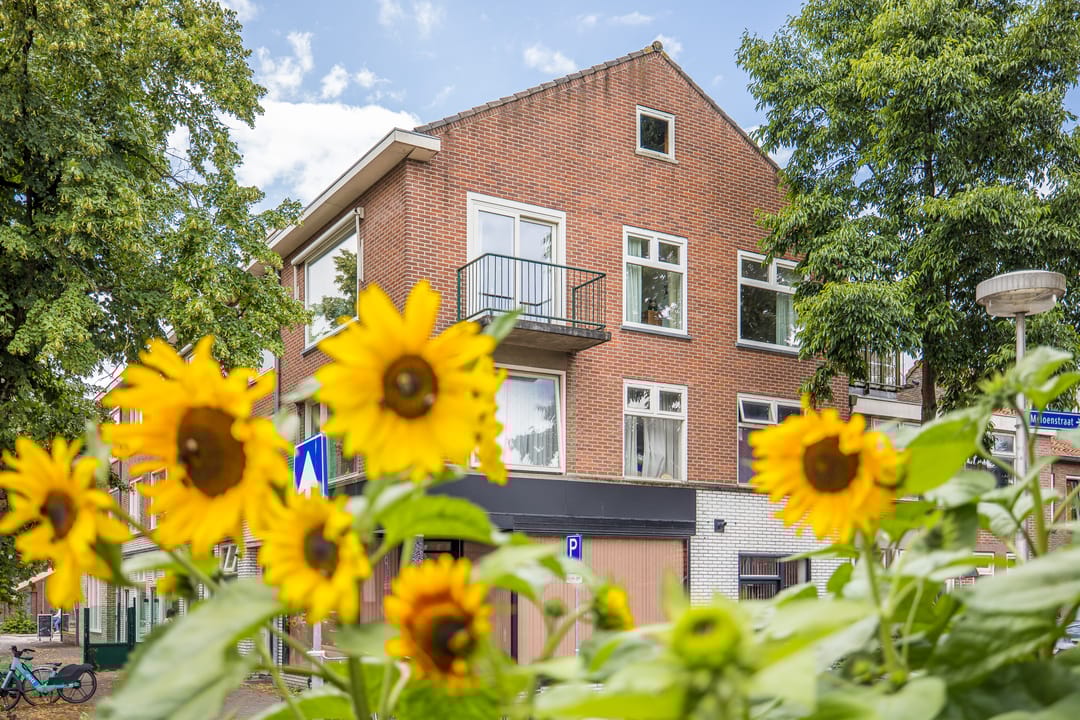 Foto 1 van Anton Geesinkstraat 14