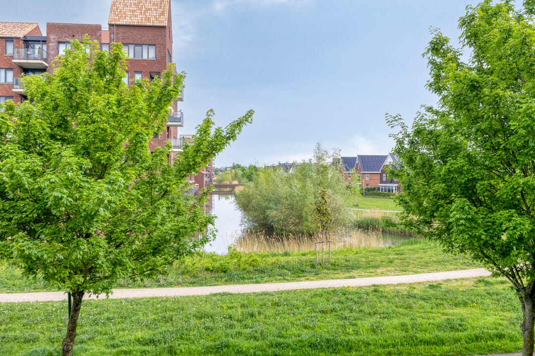 Photo 11 of Parelgras 94