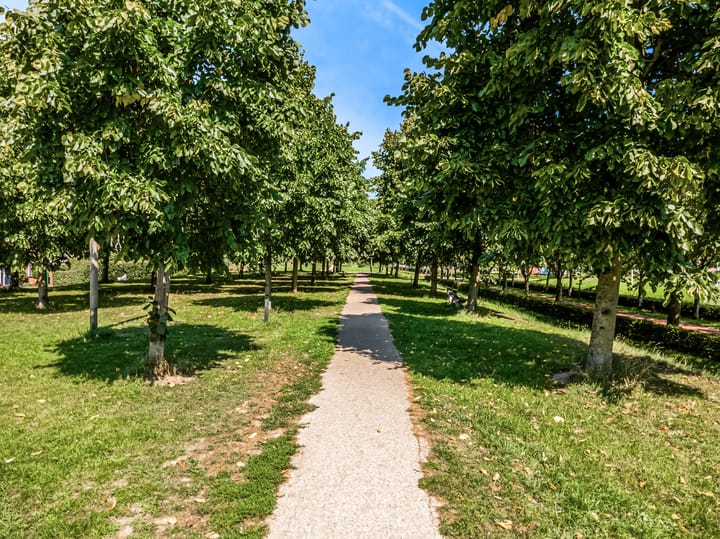 Foto 33 van Hardgras 11