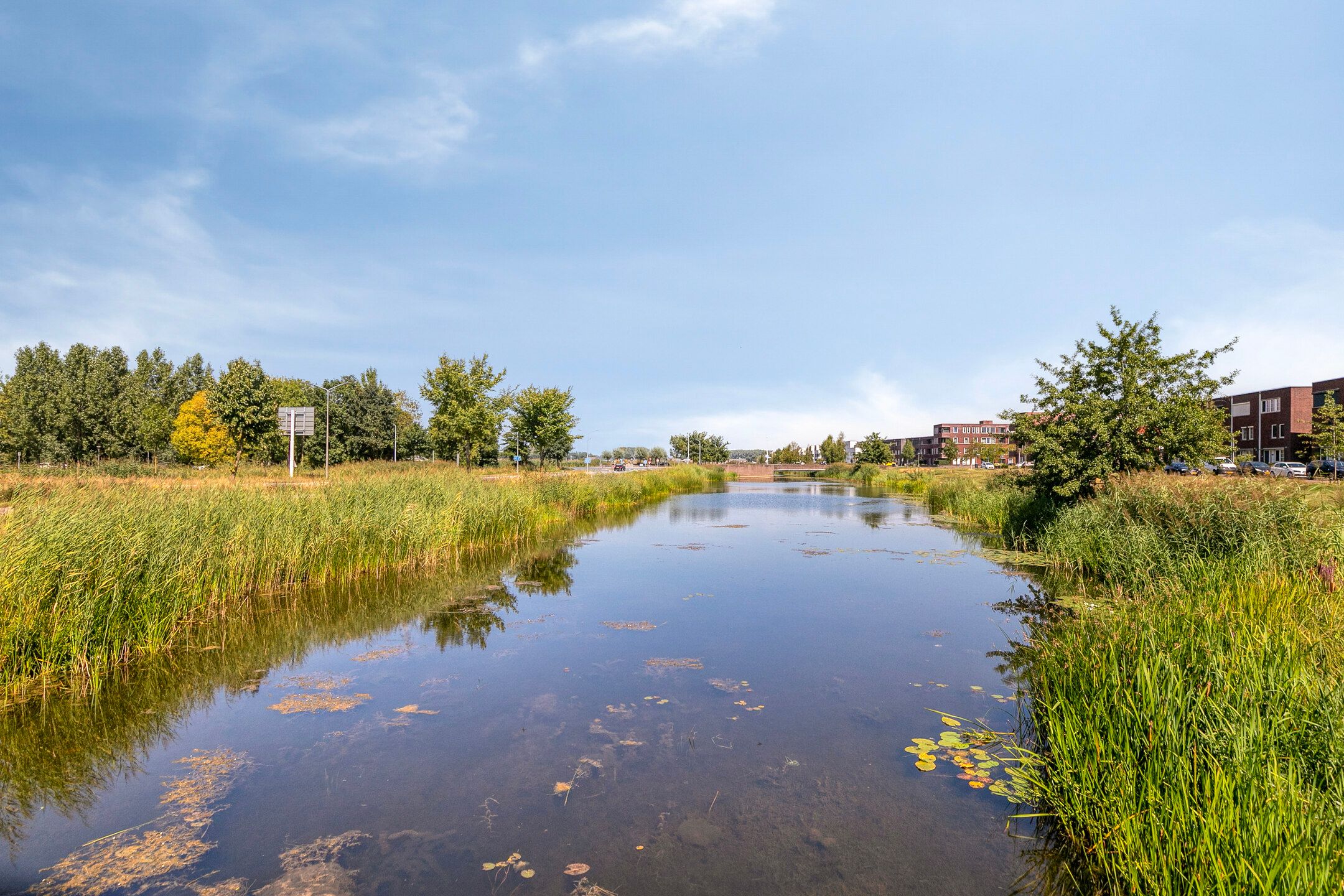 Foto 48 van Etudestraat 6