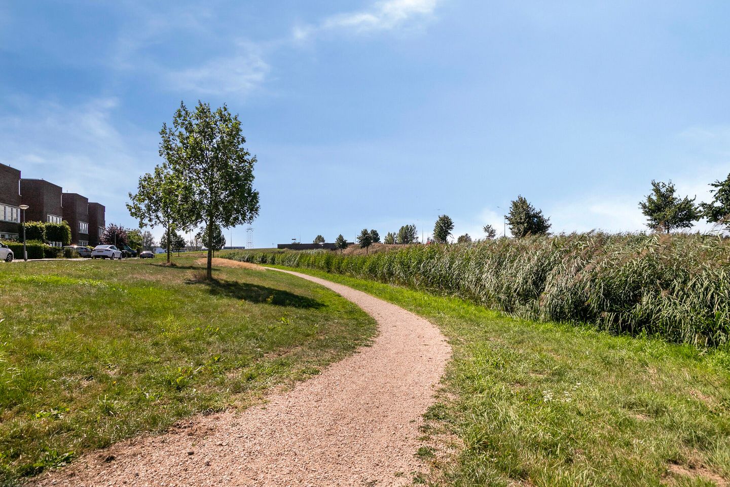 Foto 49 van Etudestraat 6