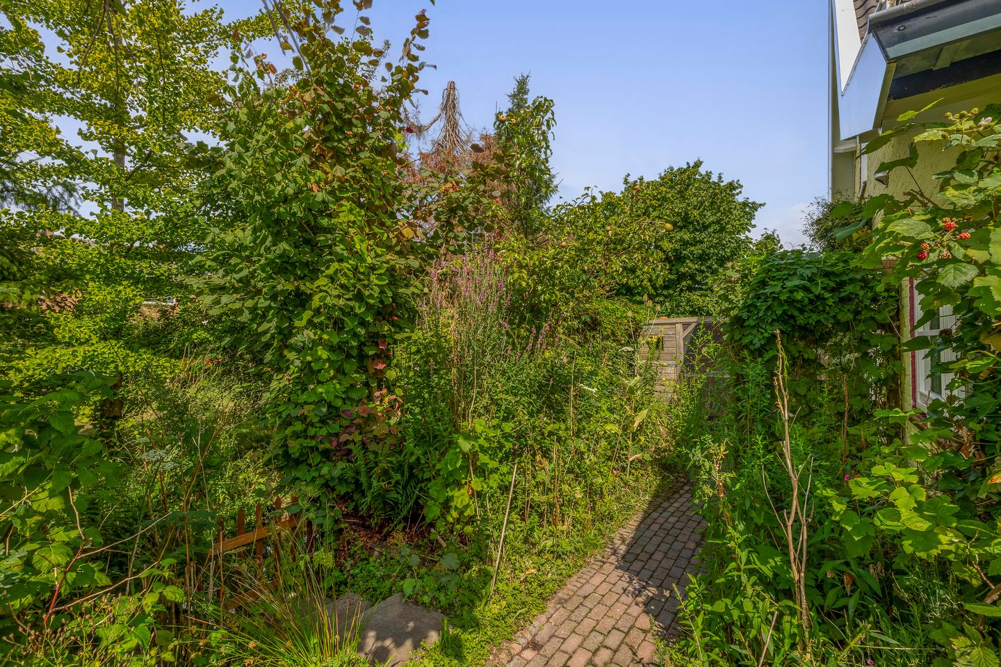 Foto 35 van Capellelaan 34