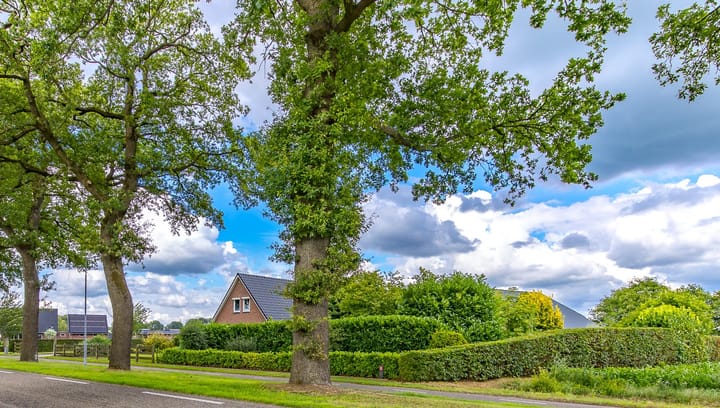 Foto 67 van Hoofdweg 3