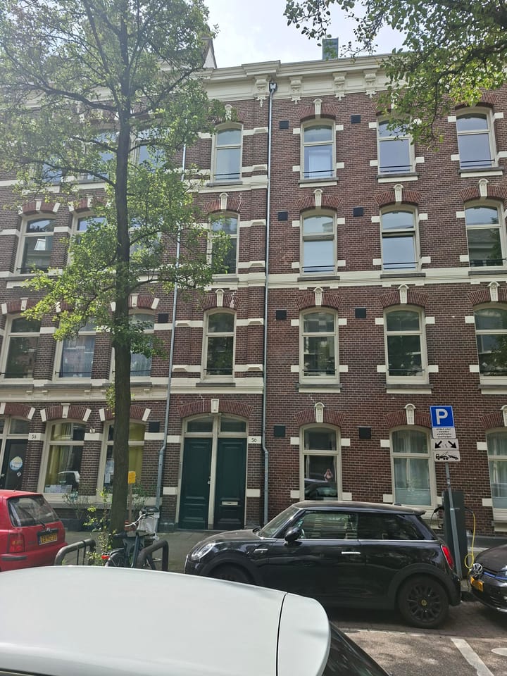 Foto 2 van Hemonystraat 56-C