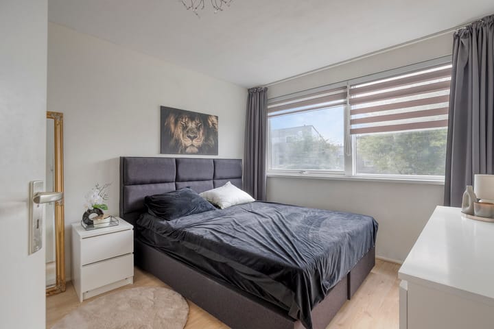 Photo 23 of Groene Steen 41