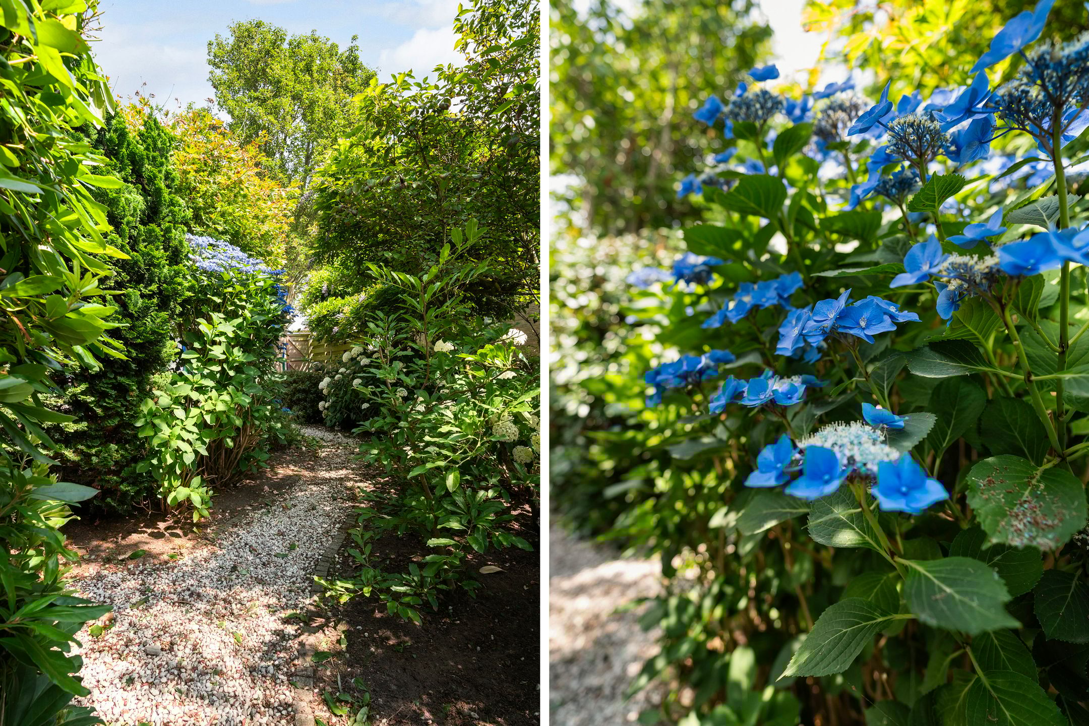 Foto 30 van Nijdamstrastate 12