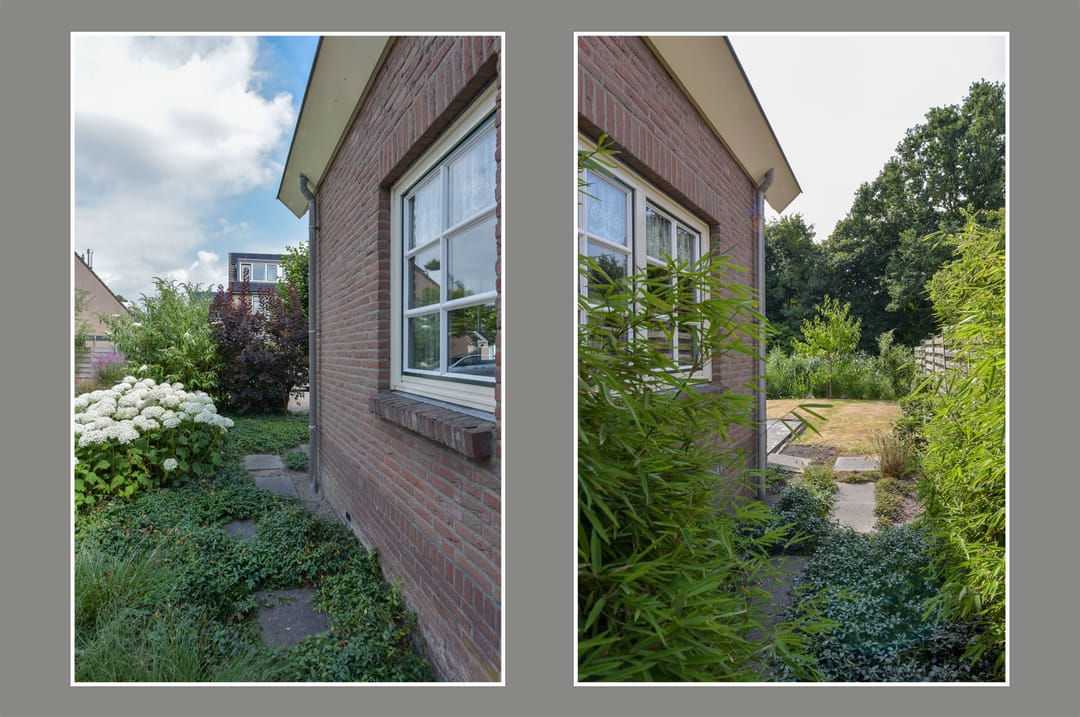 Foto 32 van Zorggras 11