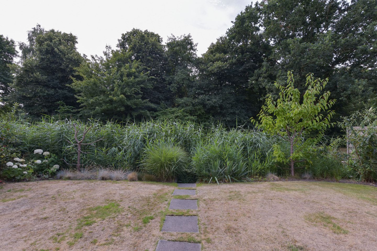 Foto 34 van Zorggras 11