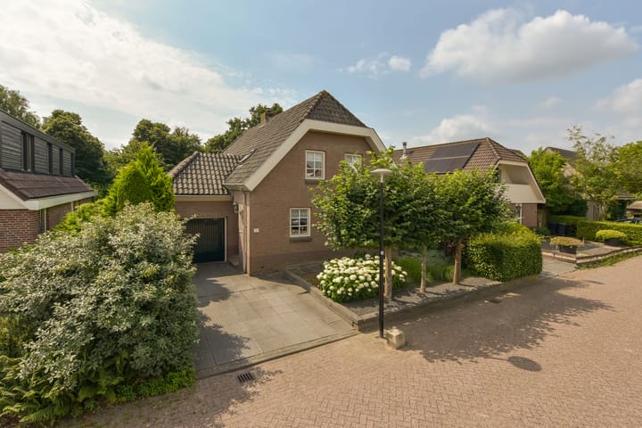 Foto 35 van Zorggras 11