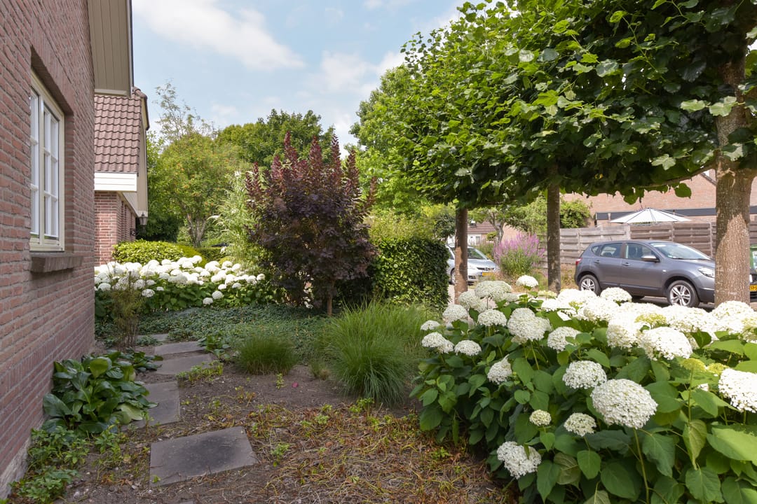 Foto 38 van Zorggras 11