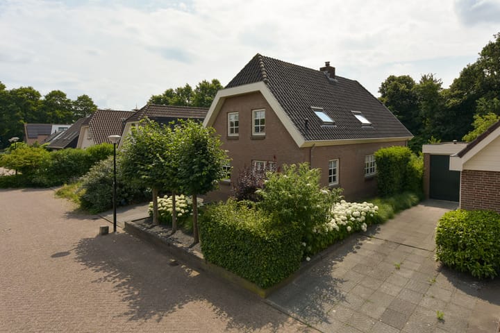 Foto 39 van Zorggras 11