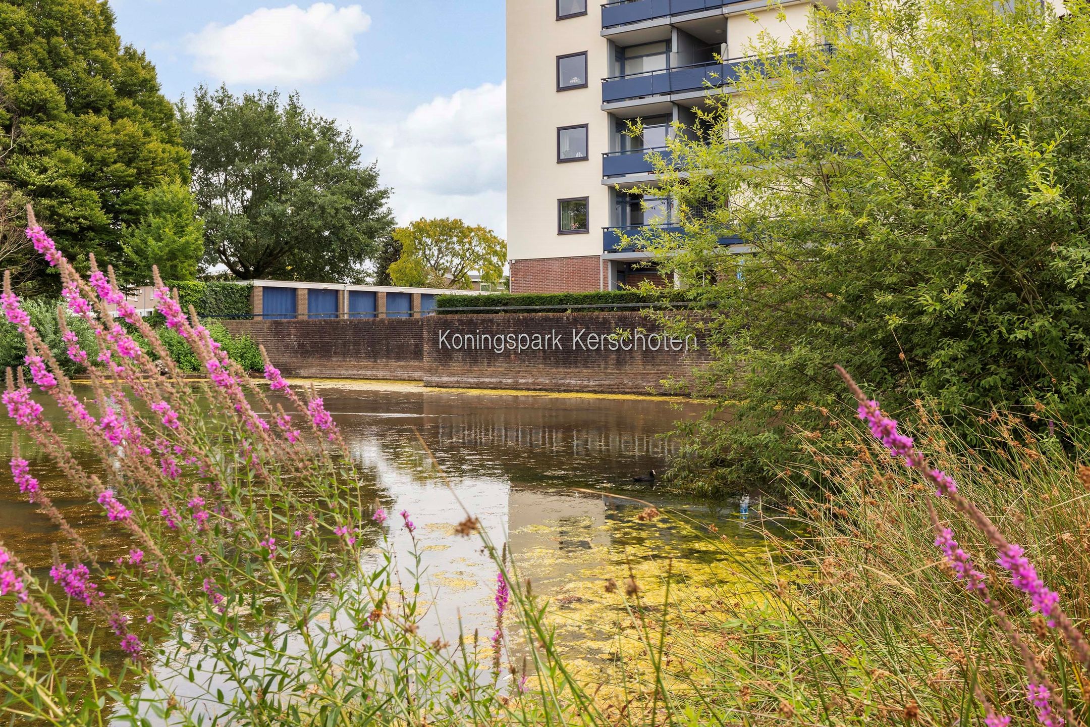 Foto 6 van Nobelstraat 56