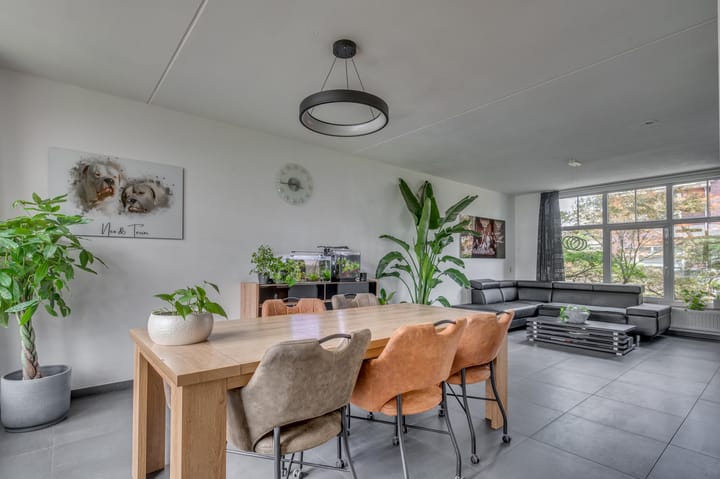 Foto 8 van Rijtakker 40