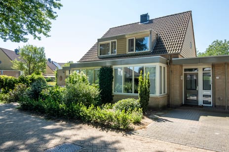 undefined main image