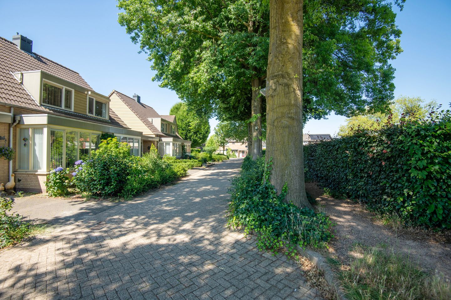 Foto 25 van Hend de Kleijnstraat 11