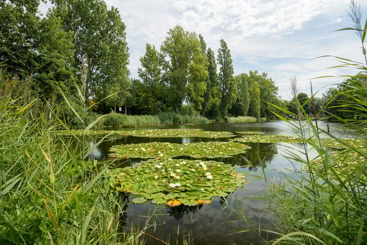 Foto 46 van Lachappellestraat 67-B