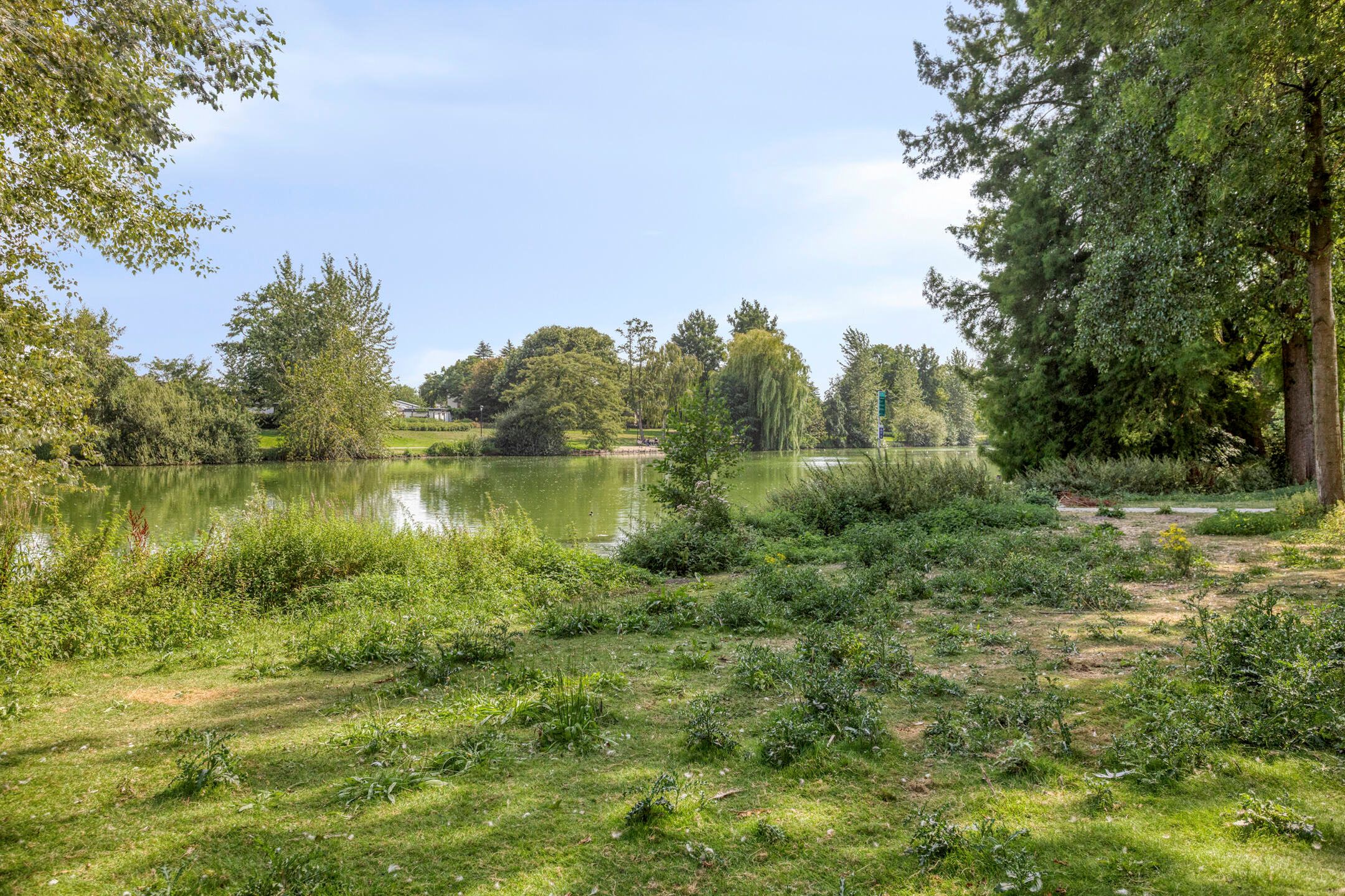 Foto 42 van Schutterlaan 38