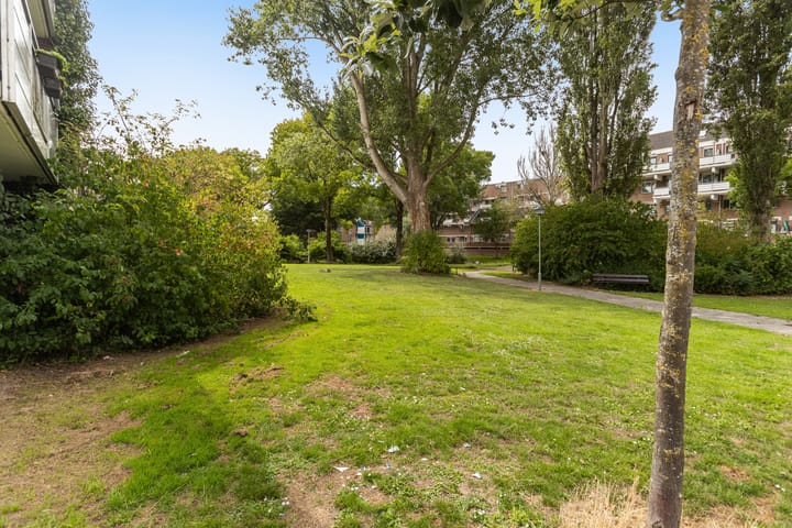 Foto 24 van Pearl Buck-erf 195