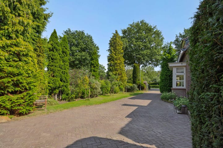 Foto 62 van Wijststraat 37