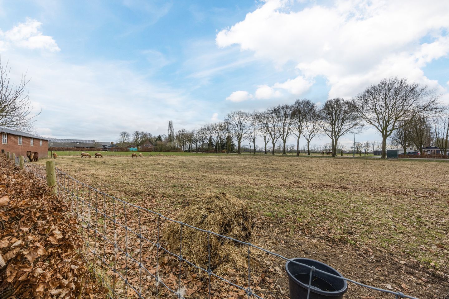 Foto 35 van Lokkantseweg 7