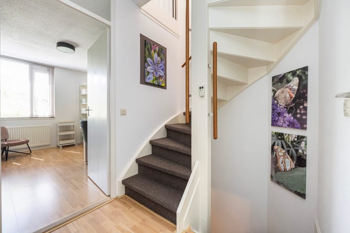 Foto 12 van Luzacware 26