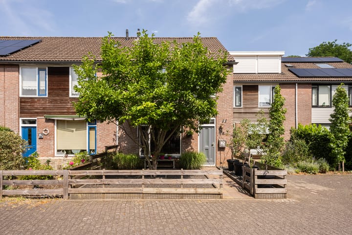 Foto 30 van Luzacware 26