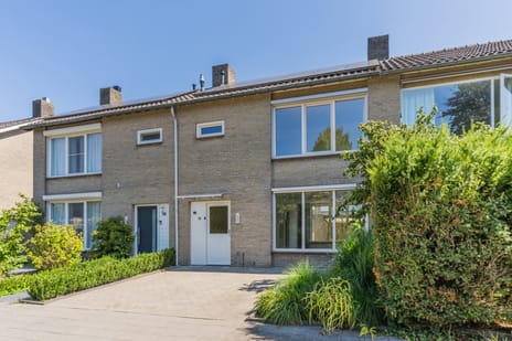 undefined main image