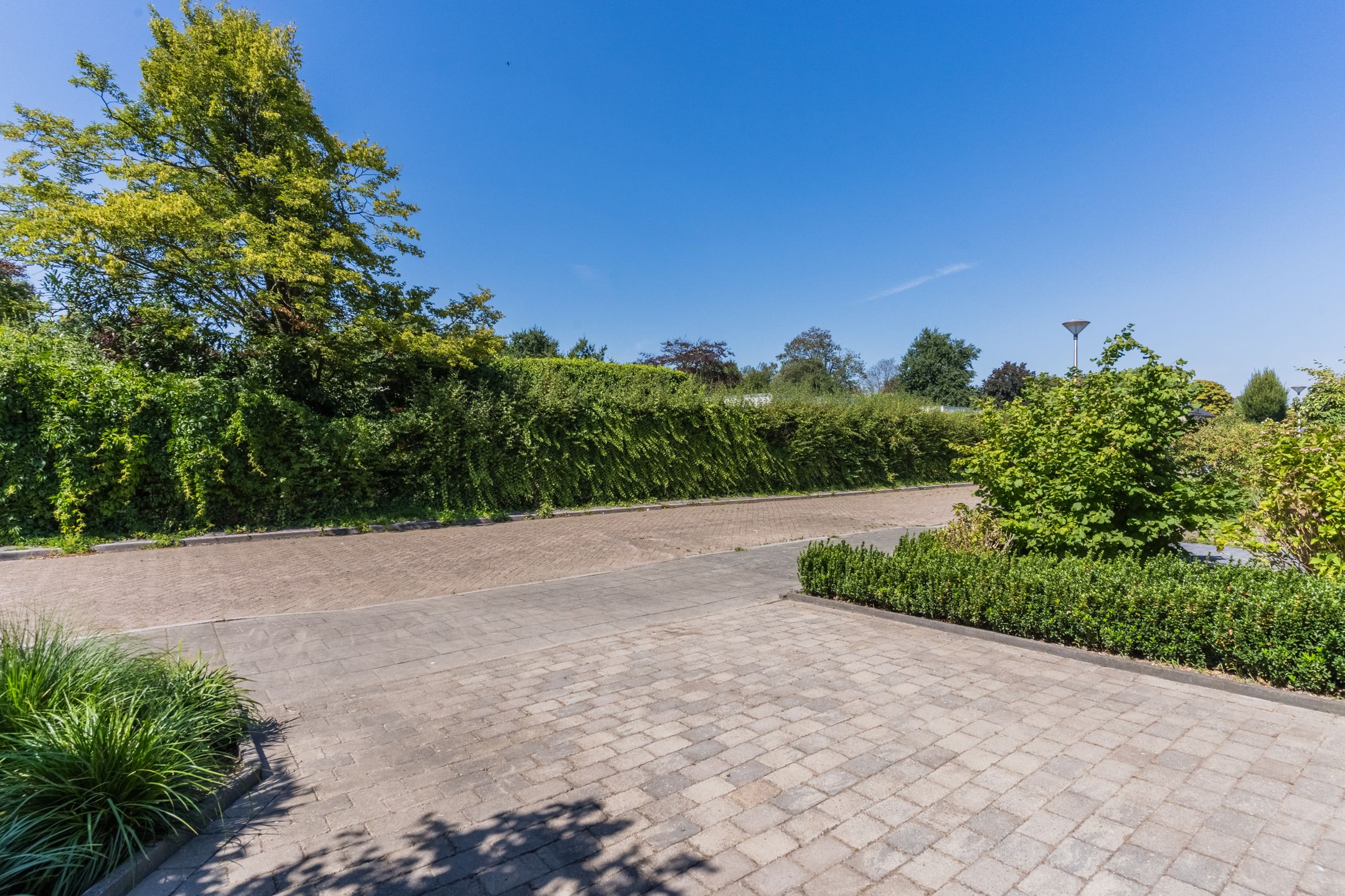 Photo 6 of de Lathyrus 10