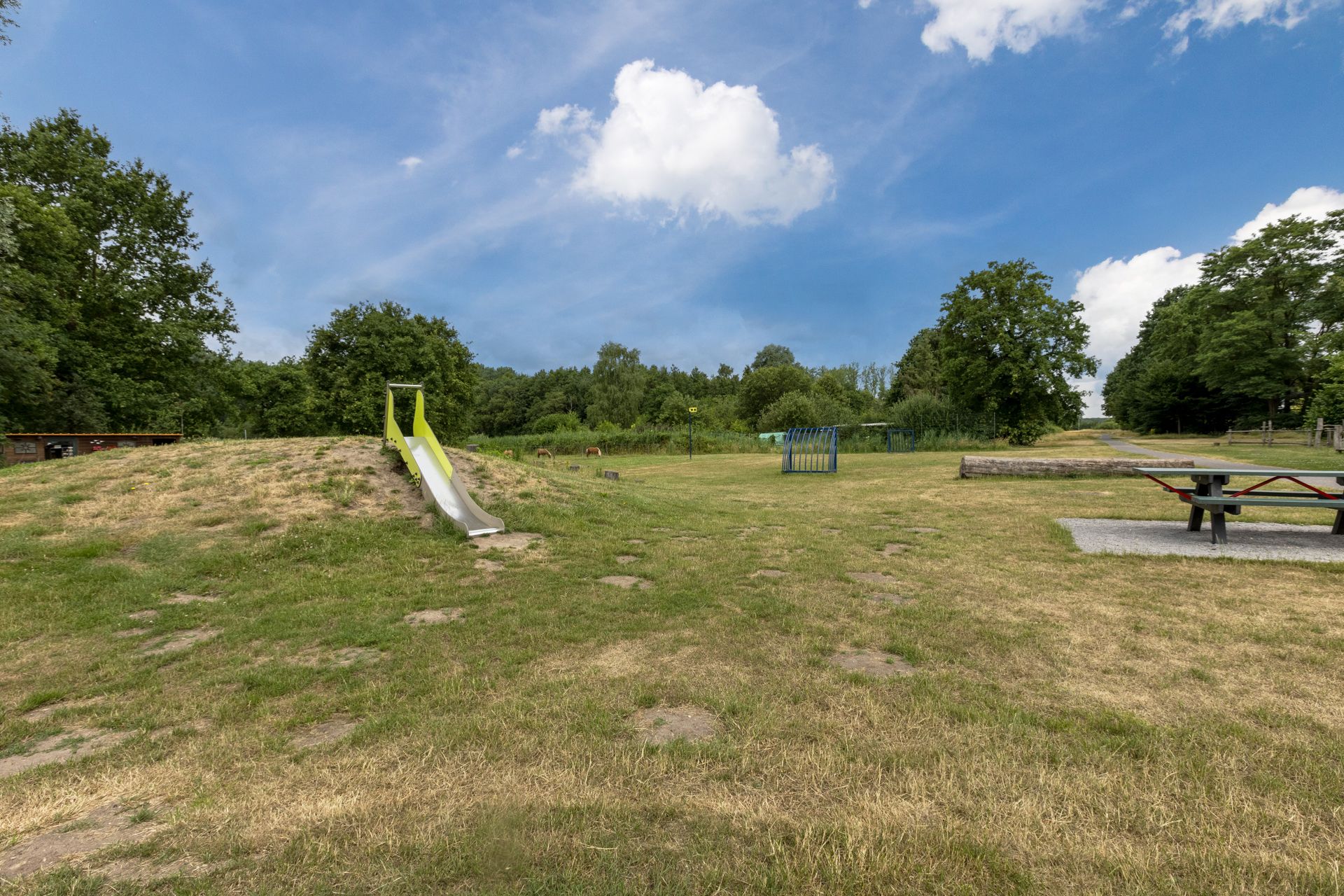 Photo 18 of de Lathyrus 10