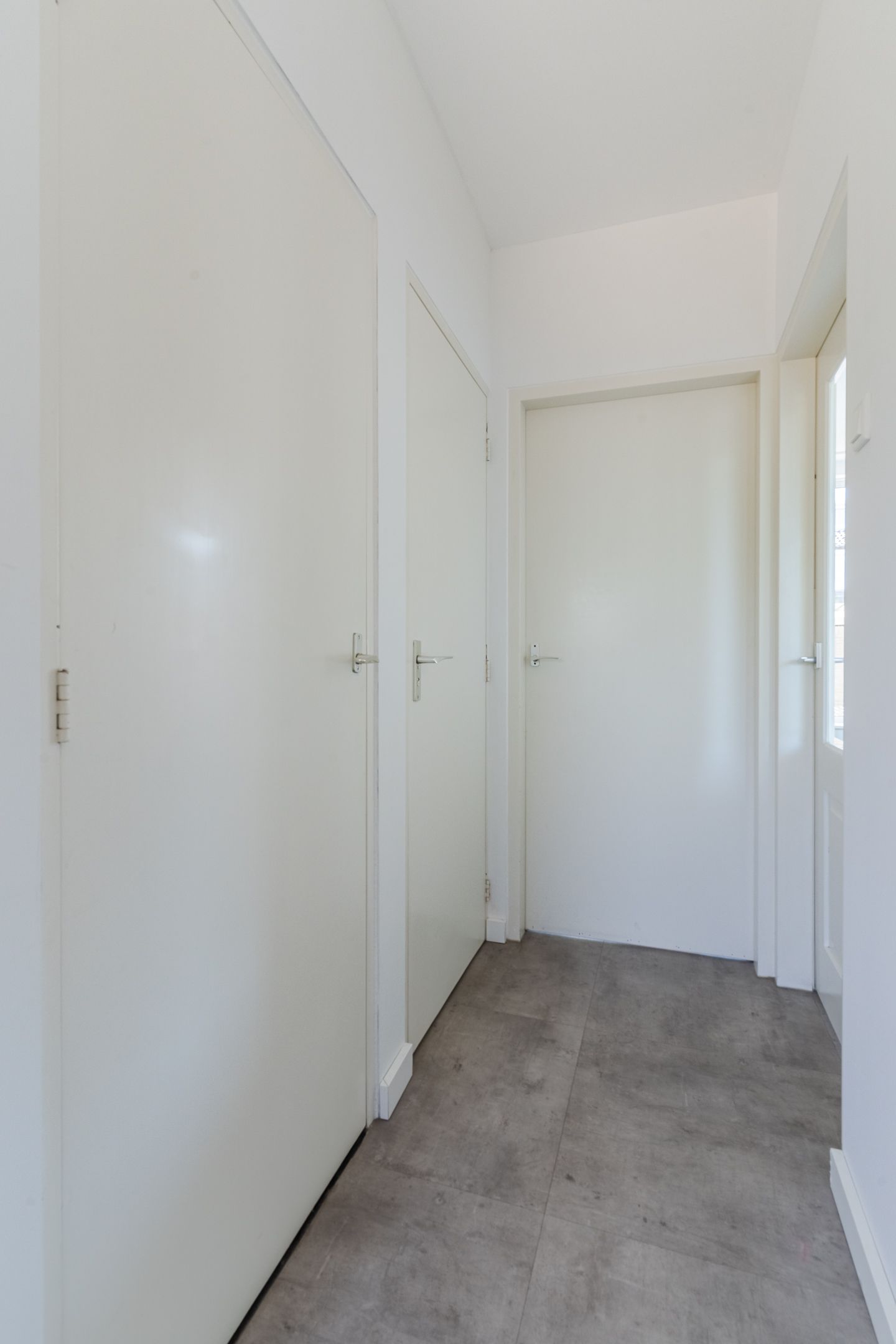 Photo 24 of de Lathyrus 10