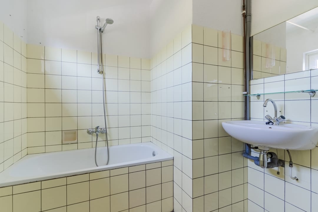 Photo 32 of de Lathyrus 10