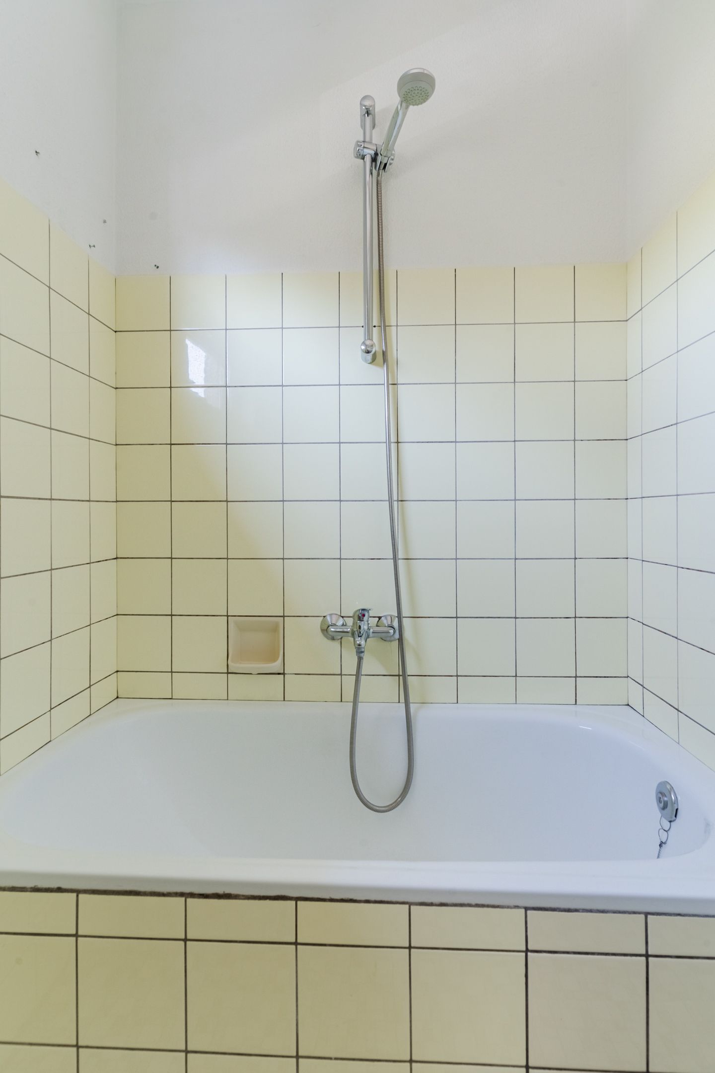 Photo 34 of de Lathyrus 10