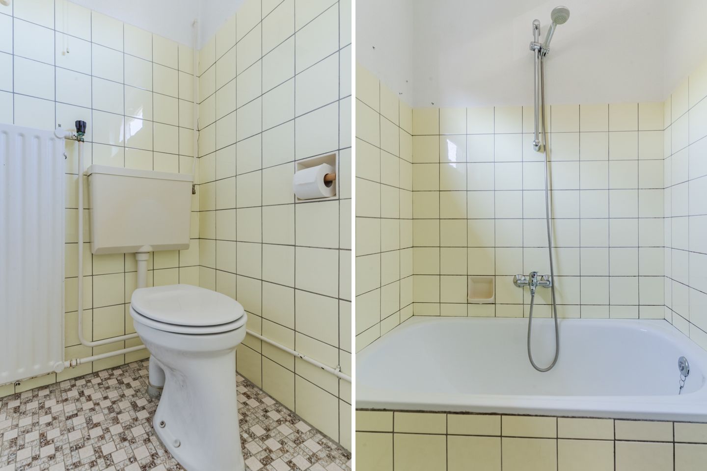 Photo 35 of de Lathyrus 10