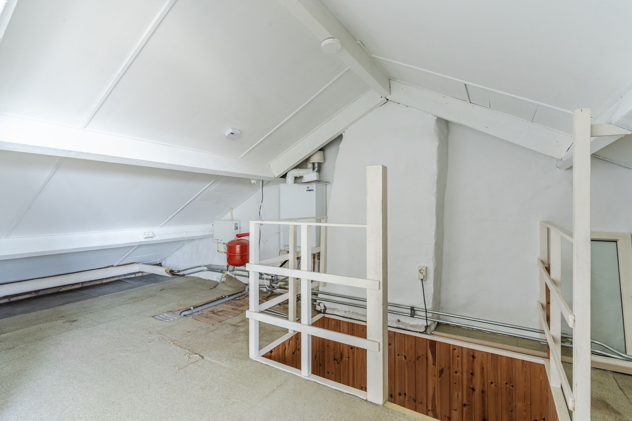 Photo 36 of de Lathyrus 10