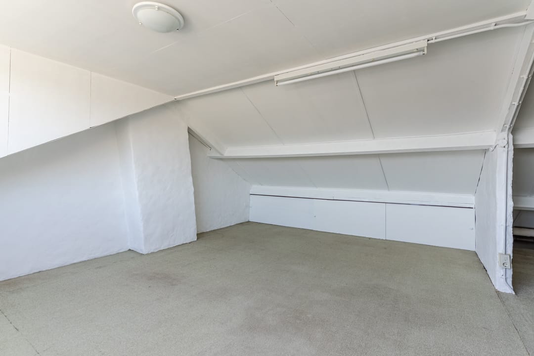 Photo 37 of de Lathyrus 10