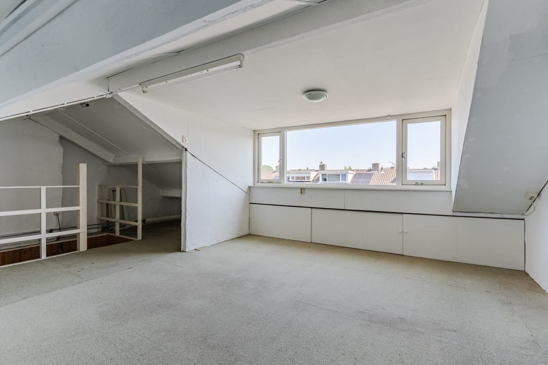 Photo 38 of de Lathyrus 10