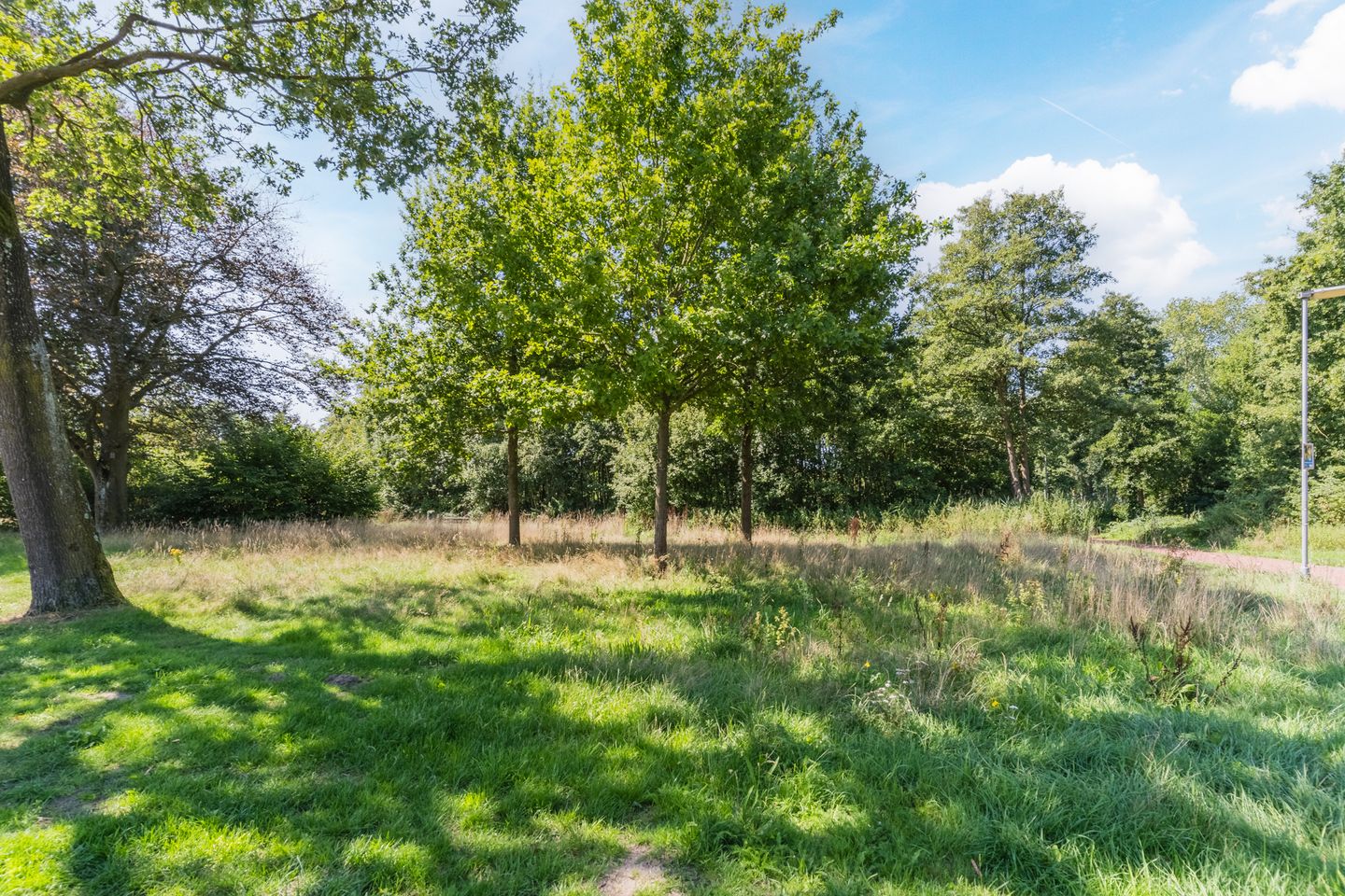 Photo 44 of de Lathyrus 10