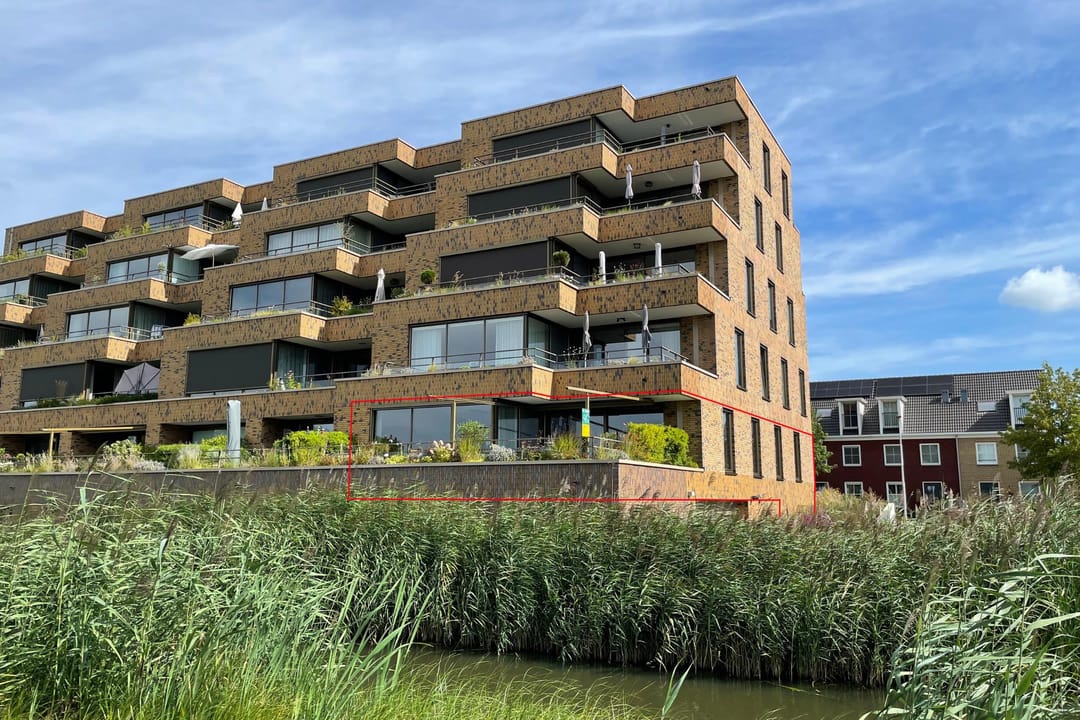 Foto 1 van Lisdodde 213