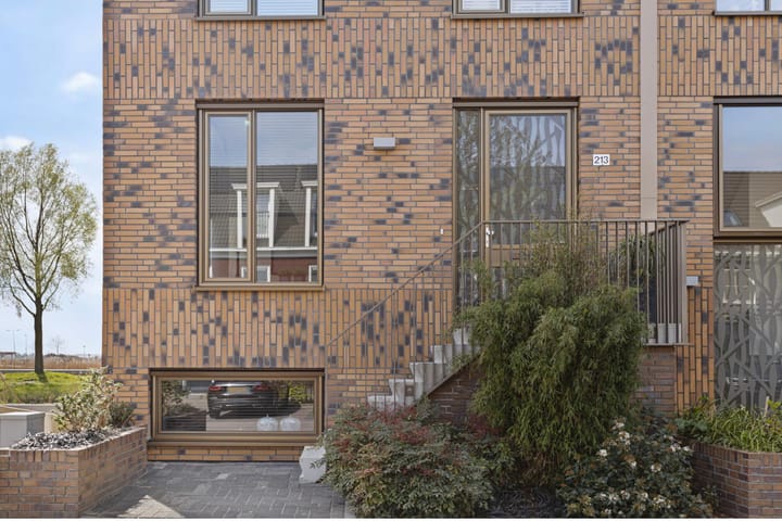 Foto 7 van Lisdodde 213